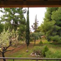 Квартира в Греции, 50 кв.м.