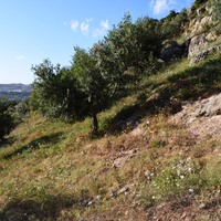 Land plot in Greece