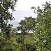 Земельный участок в Греции