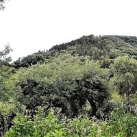 Земельный участок в Греции