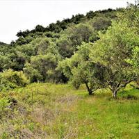 Land plot in Greece