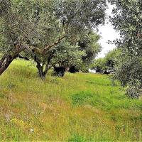 Land plot in Greece