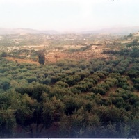 Land plot in Greece