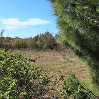 Land plot in Greece, 750 sq.m.
