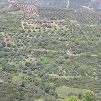 Земельный участок в Греции