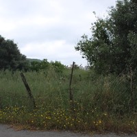 Land plot in Greece