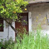 Other in Greece, 50 sq.m.