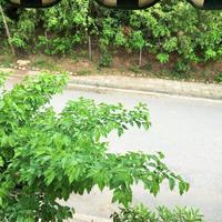 Townhouse in Greece, 250 sq.m.