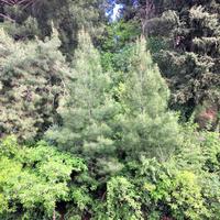 Townhouse in Greece, 250 sq.m.