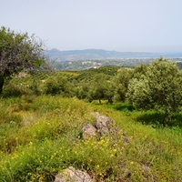 Land plot in Greece