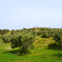 Land plot in Greece