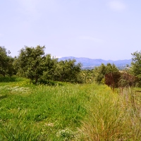 Land plot in Greece