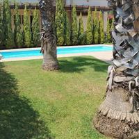 Villa in Republic of Cyprus, 180 sq.m.