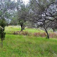 Land plot in Greece