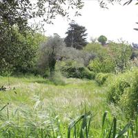 Land plot in Greece