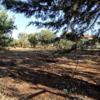 Land plot in Greece