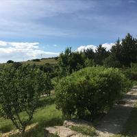 Other in Greece, 350 sq.m.