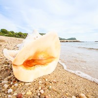 Вилла в Греции, 120 кв.м.