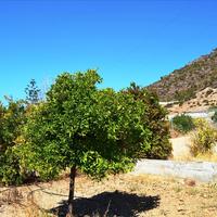 Другое в Греции, 300 кв.м.