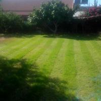 Другое на Кипре, 135 кв.м.