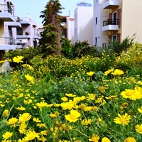 Земельный участок в Греции