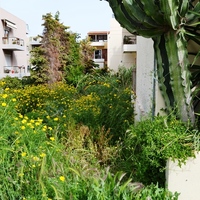 Земельный участок в Греции