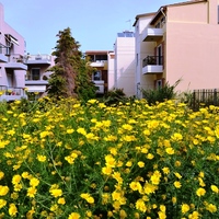 Земельный участок в Греции