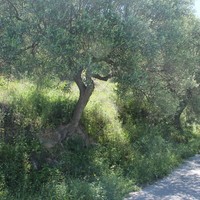 Земельный участок в Греции