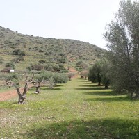 Земельный участок в Греции