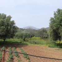 Land plot in Greece