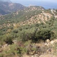 Land plot in Greece