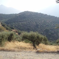 Land plot in Greece