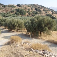 Land plot in Greece