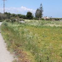 Land plot in Greece