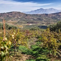 Другое в Греции, 180 кв.м.