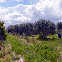 Земельный участок в Греции