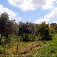 Земельный участок в Греции