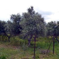 Земельный участок в Греции