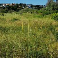 Land plot in Republic of Cyprus