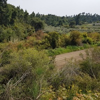 Земельный участок в Греции