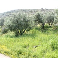 Land plot in Greece