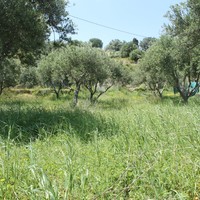 Land plot in Greece