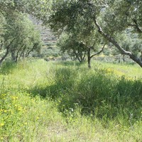 Land plot in Greece
