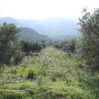 Земельный участок в Греции