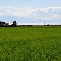 Земельный участок в Греции