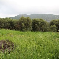 Land plot in Greece