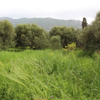 Land plot in Greece