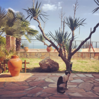 Другое в Греции, 100 кв.м.