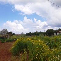 Land plot in Greece