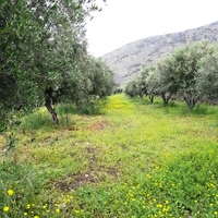 Земельный участок в Греции